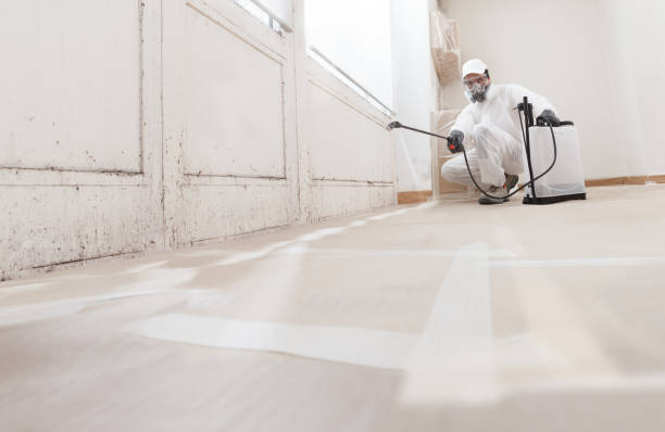 Trusted Mold Inspection service in Sayreville, NJ - WQB Mold Removal