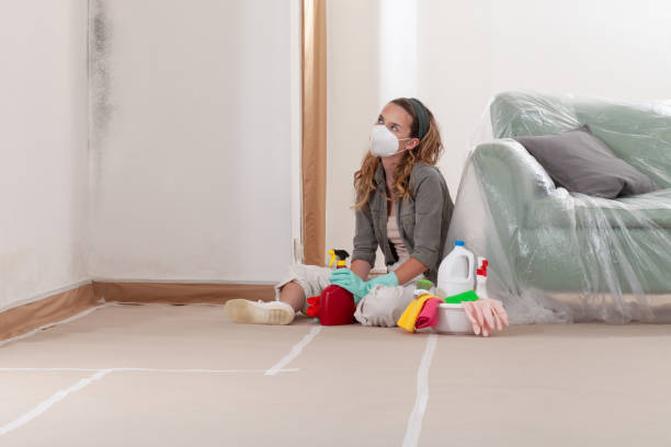 Reliable Mold Inspection contractor in Sayreville, NJ by WQB Mold Removal